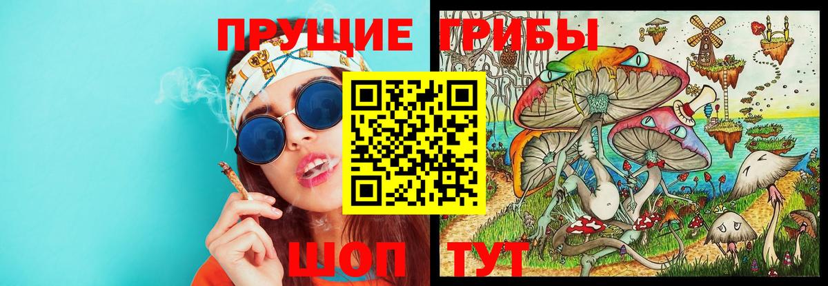 Сердобск  наркотики  Галлюциногенные грибы Psilocybe  Вход с VPN  Псилоцибиновые грибы Magic Shrooms 