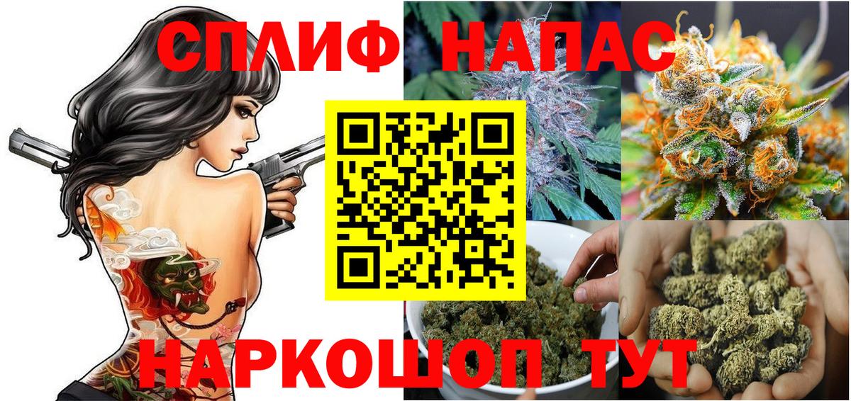 Бошки Шишки семена  Шишки марихуана тримм  Конопля THC 21%  Вход с VPN  Сердобск 